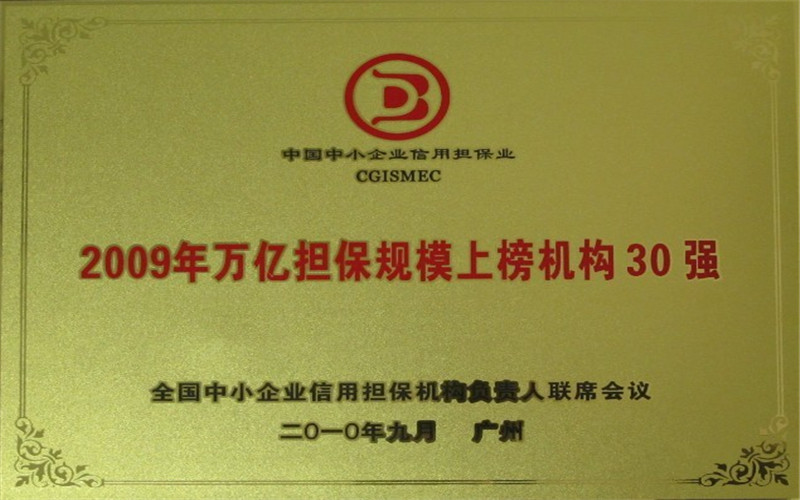 2009年萬億擔保規(guī)模上榜機構30強